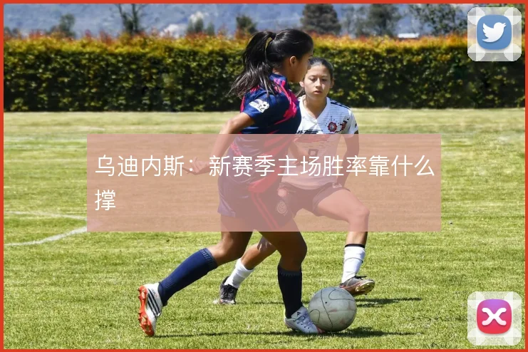 乌迪内斯:新赛季主场胜率靠什么撑
