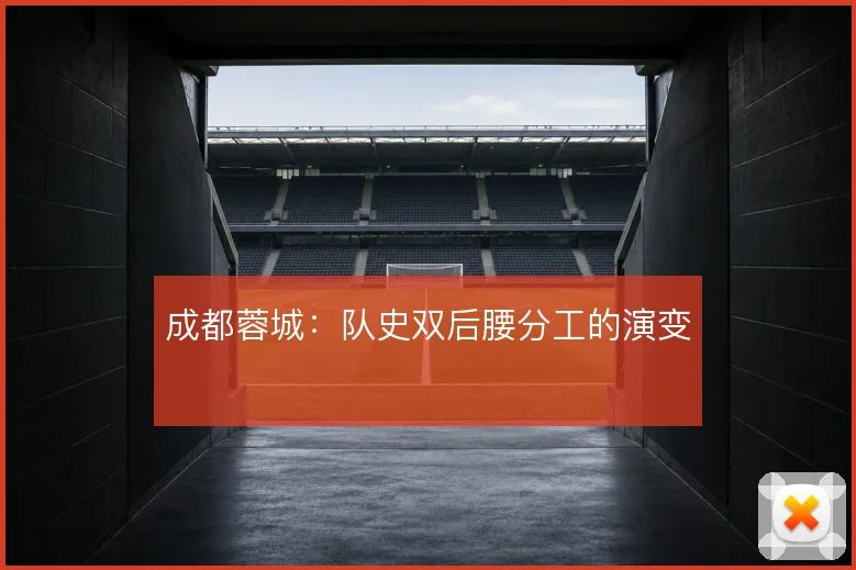 成都蓉城：队史双后腰分工的演变