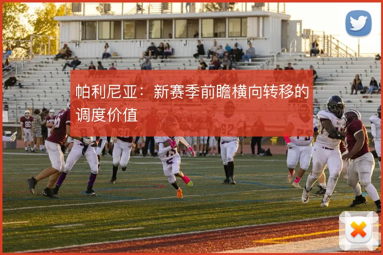 帕利尼亚:新赛季前瞻横向转移的调度价值